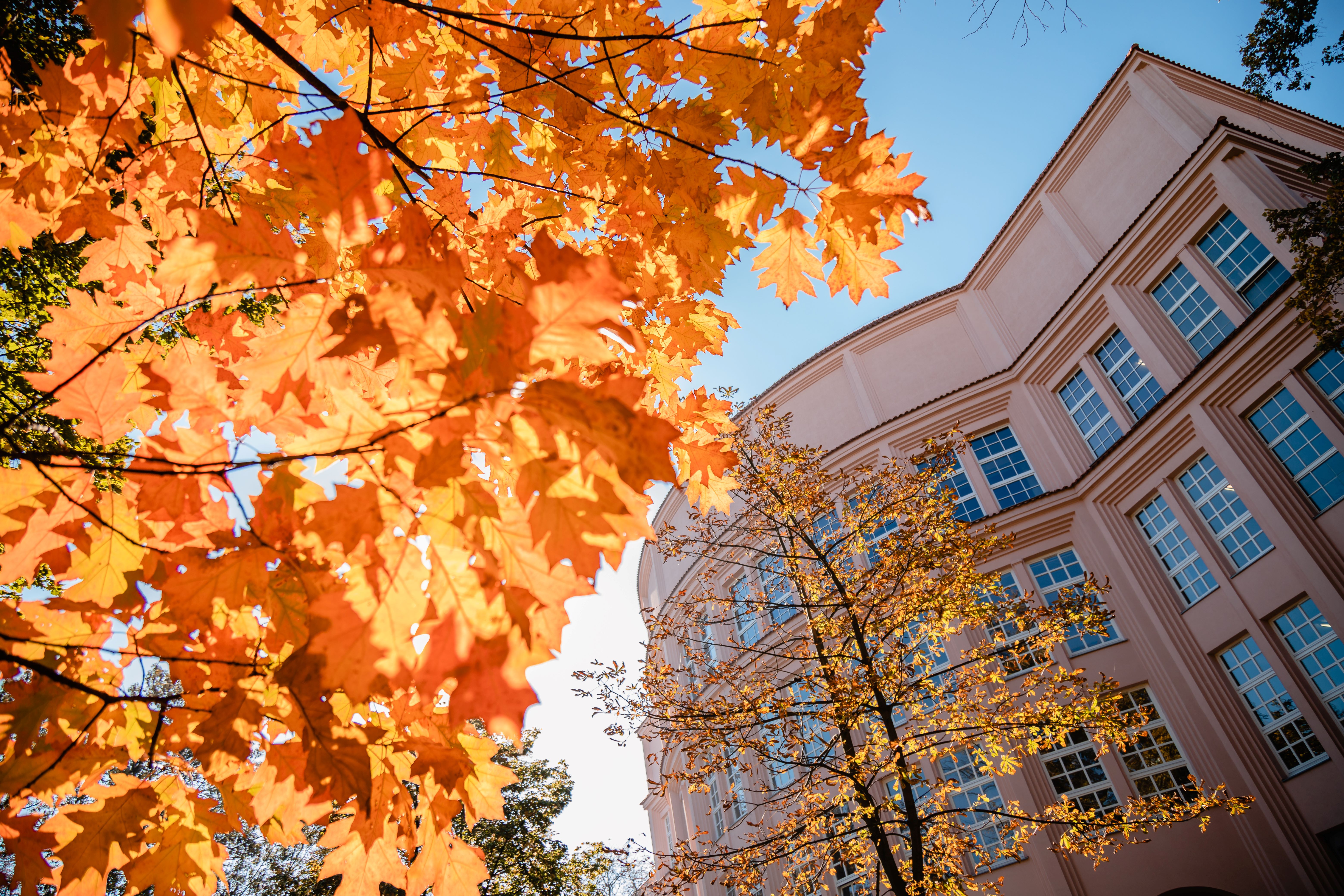 Building G in Fall