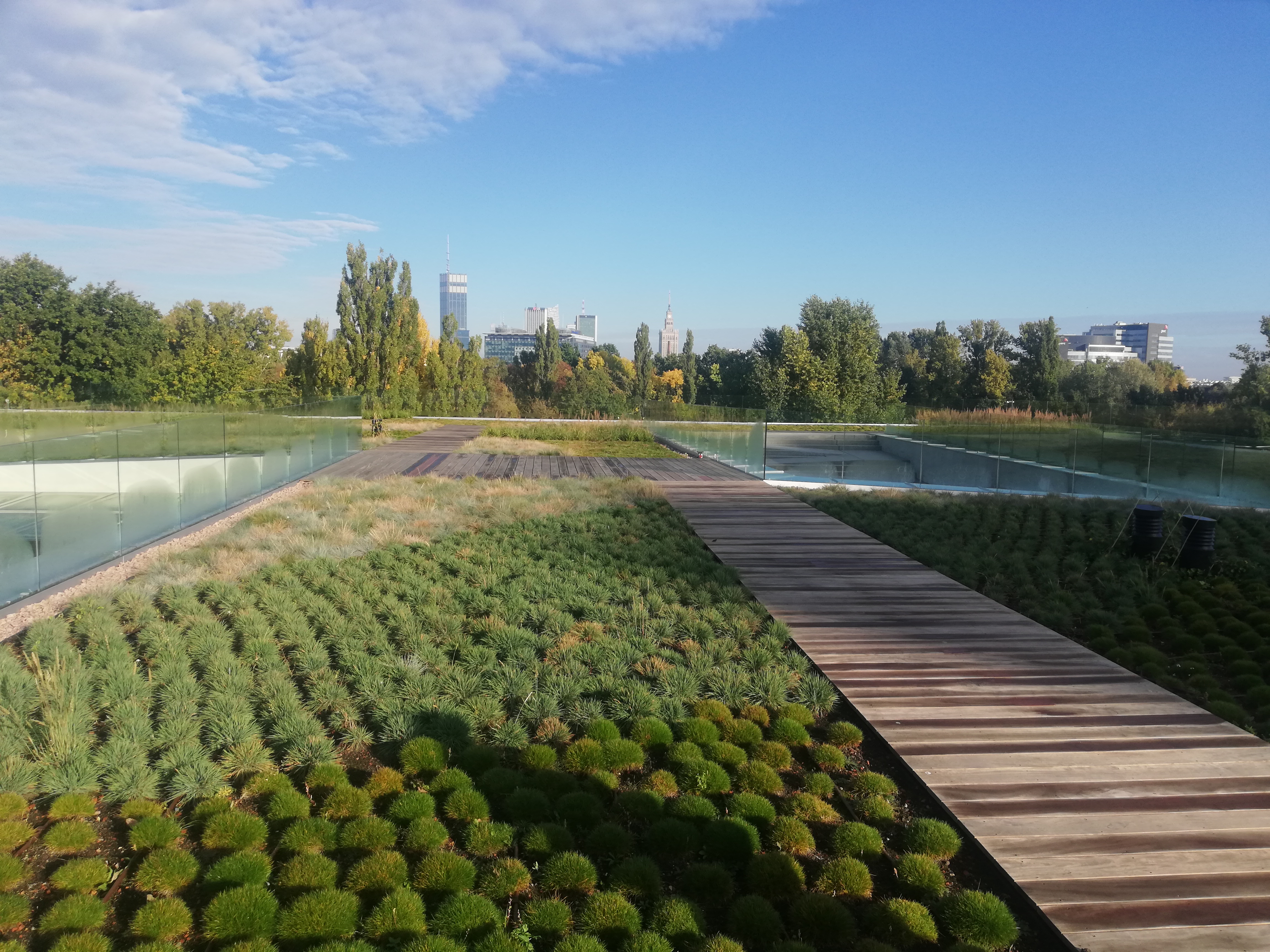 Building S - The Roof Garden